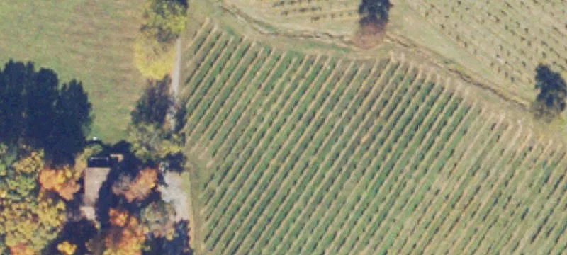 4500 Winery Ln