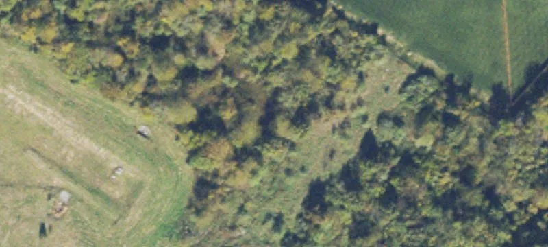 Stephens City, VA 22655
