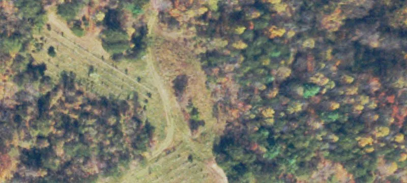 6500 Mt Chestnut Rd