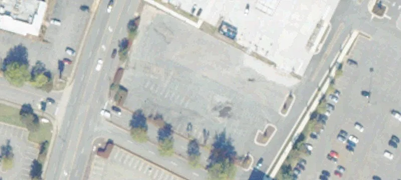 Starling Dr