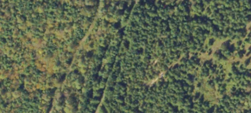 Blackstone, VA 23824
