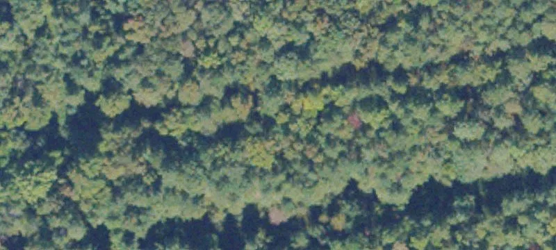 801 100th Rd