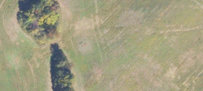 16103 Braggs Cor Rd