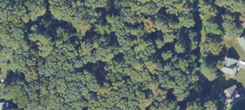 5330 Timber Blf Pkwy