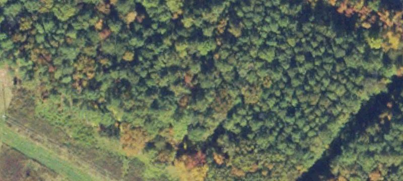 3 Notch