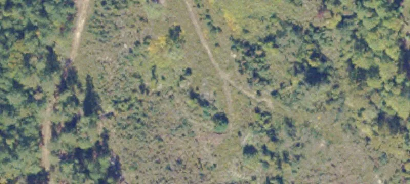 1839 Old Bermuda 100th Rd