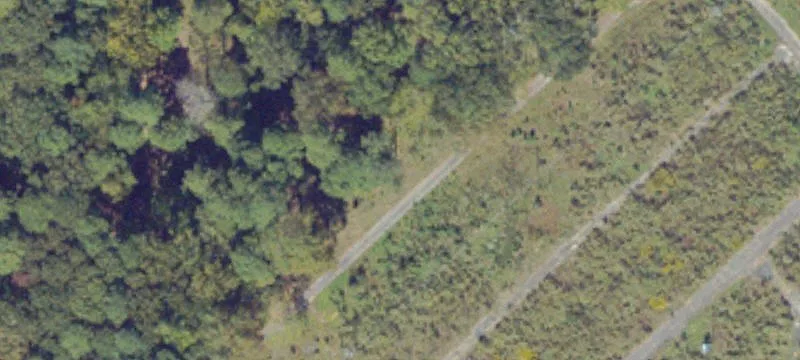 901 Lightfoot Rd