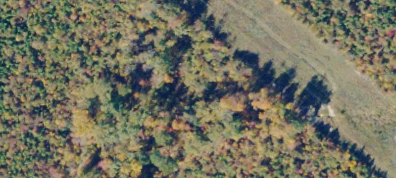 Crewe, VA 23930