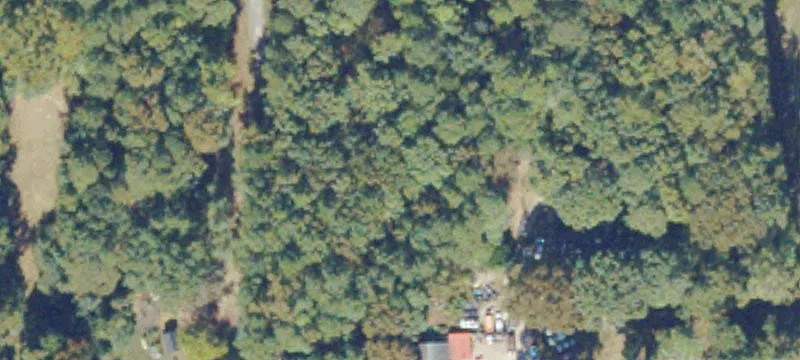 Dinwiddie, VA 23841