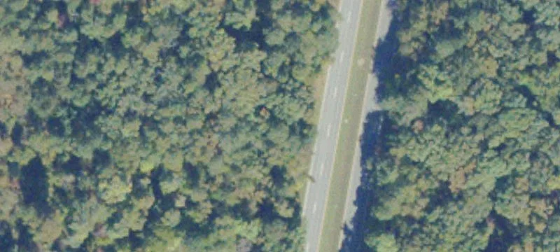 Laburnum Ave