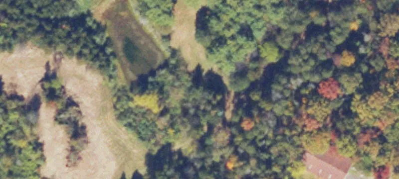 226 Reliance Rd