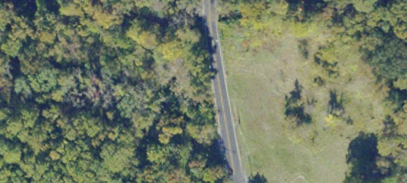 990 Bickerstaff Rd