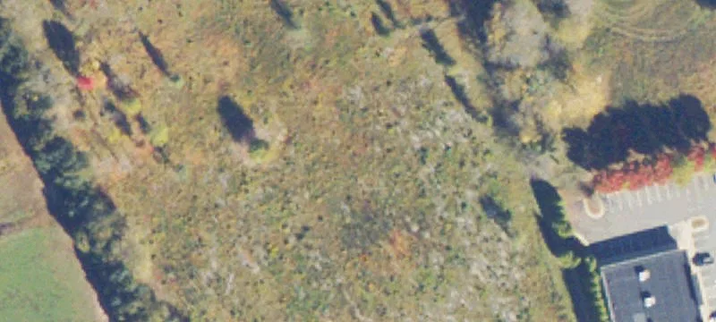 Bealeton, VA 22712
