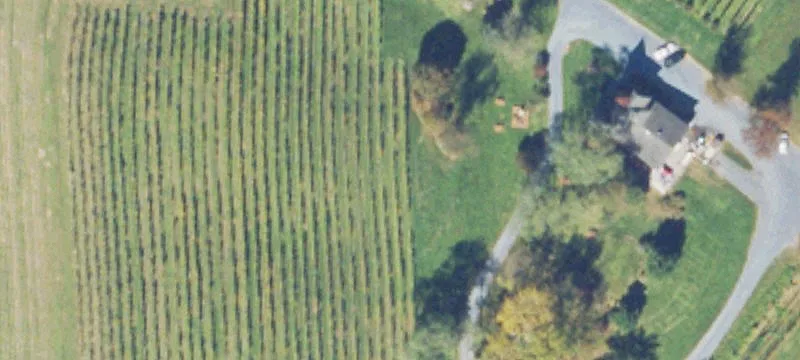 374 Swartz Rd