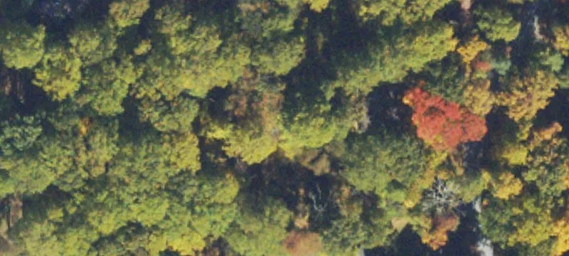 1000 High Knob Rd