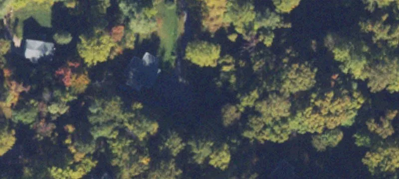 88 Poplar Tree Ct