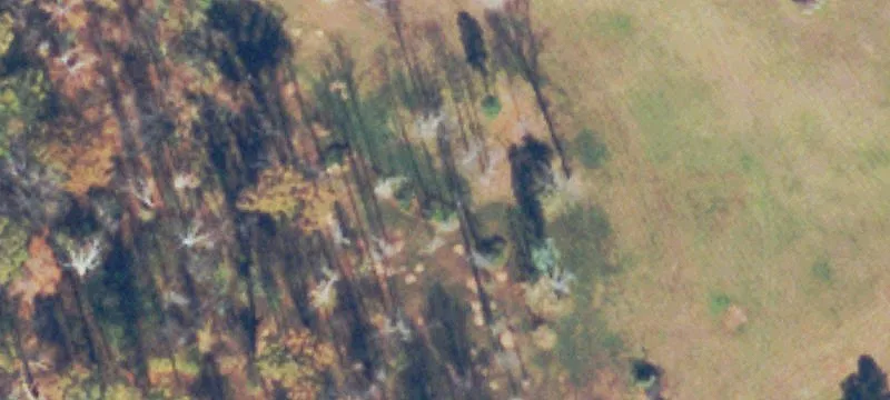 2000 Old Salem School Rd