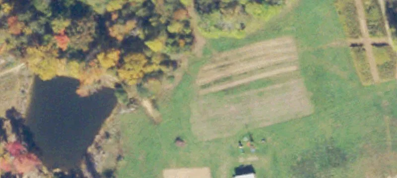 11251 Cherry Hl Rd
