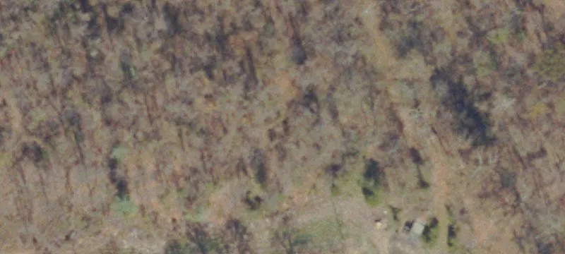 Bordwine Rd