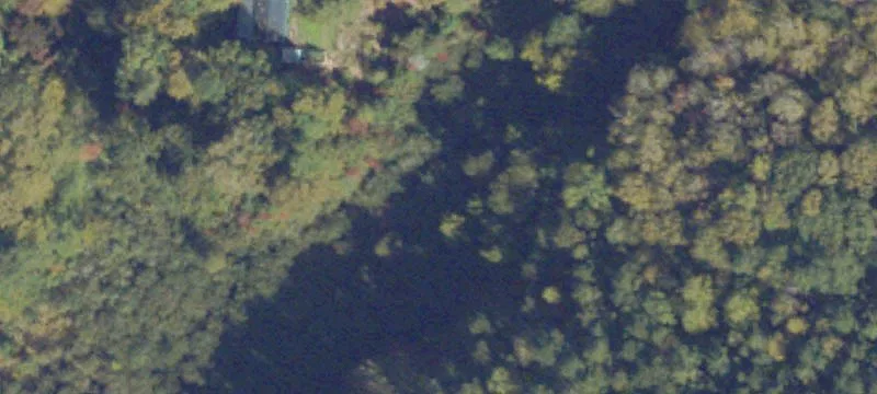 9551 Diascund Reservoir Rd