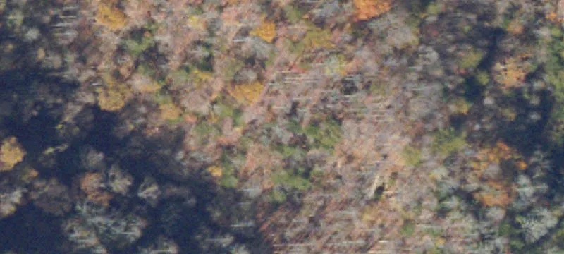 5726 Canton Rd