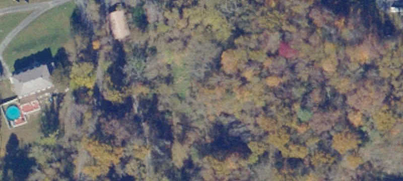 Sapwood Dr