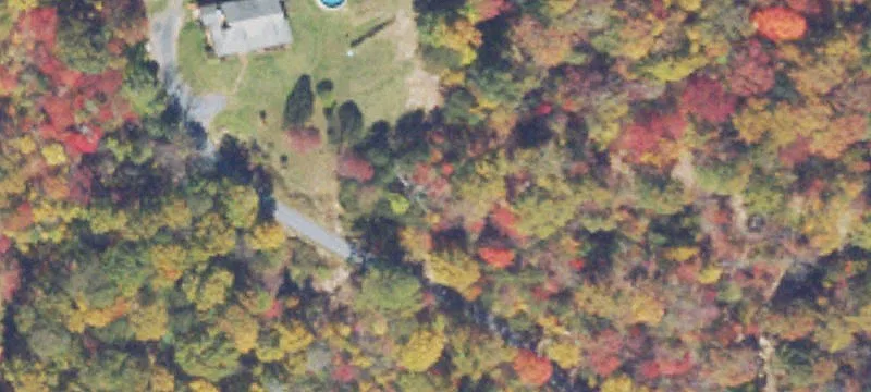 1109 Panhandle Rd