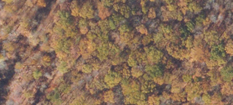 Pennington Gap, VA 24277