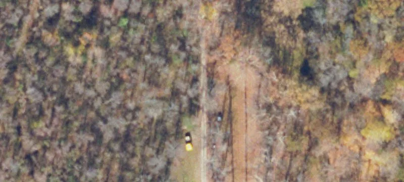1992 Bonny Blue Rd
