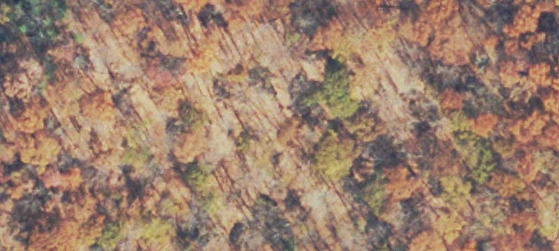 Shawsville, VA 24162