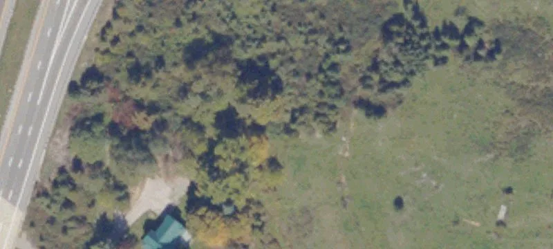 Yellow Sulphur Rd