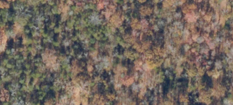 Pennington Gap, VA 24277