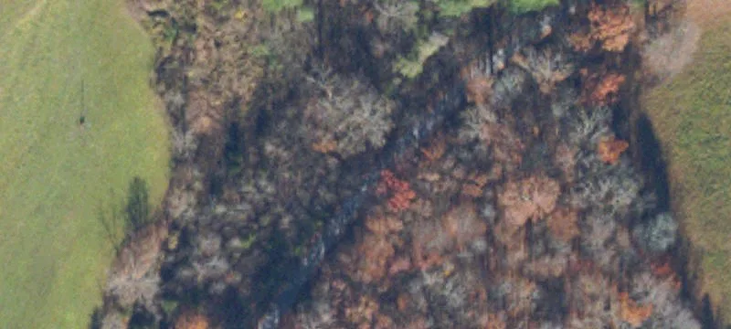 Jonesville, VA 24263