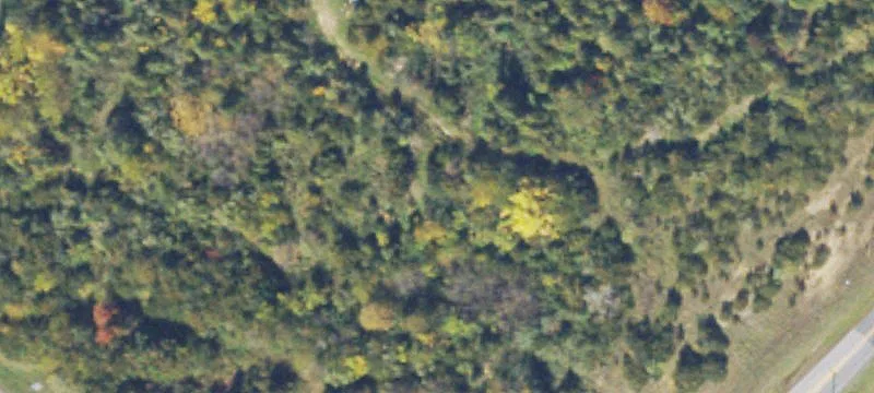 Stephens City, VA 22655