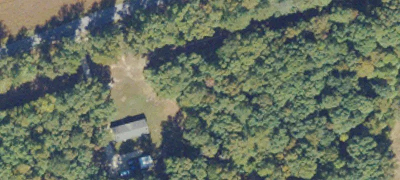 Wilsons, VA 23894