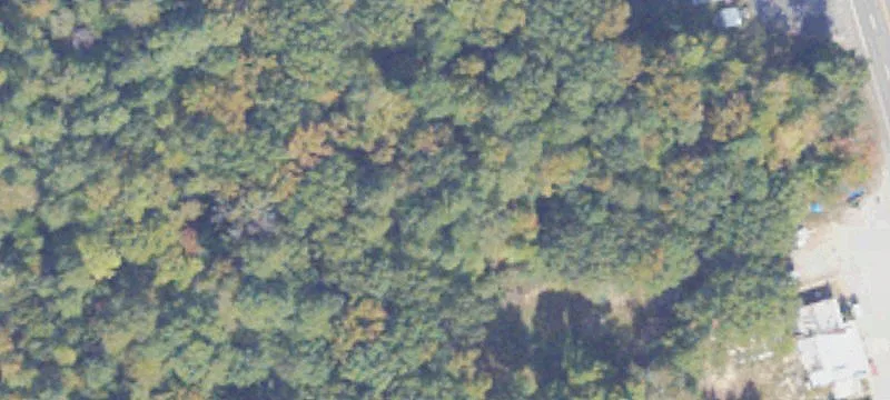 Ruther Glen, VA 22546