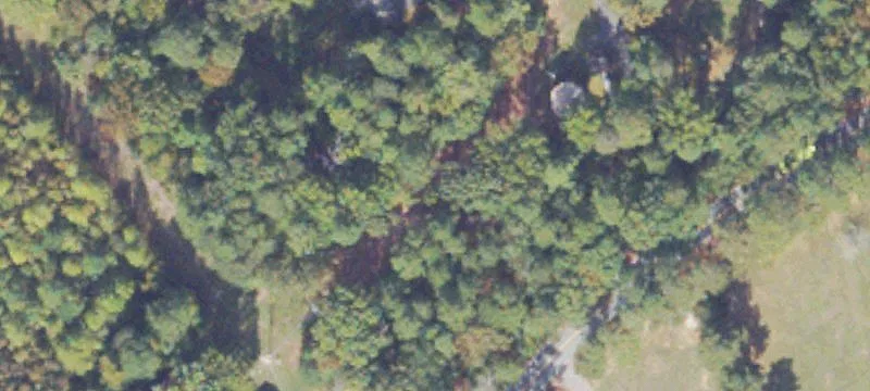 Ruther Glen, VA 22546
