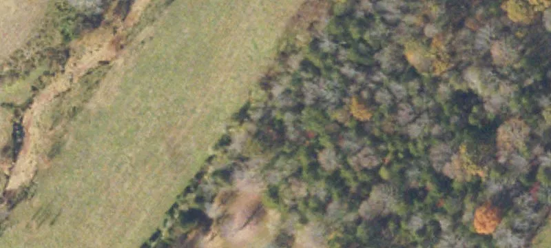 Pennington Gap, VA 24277