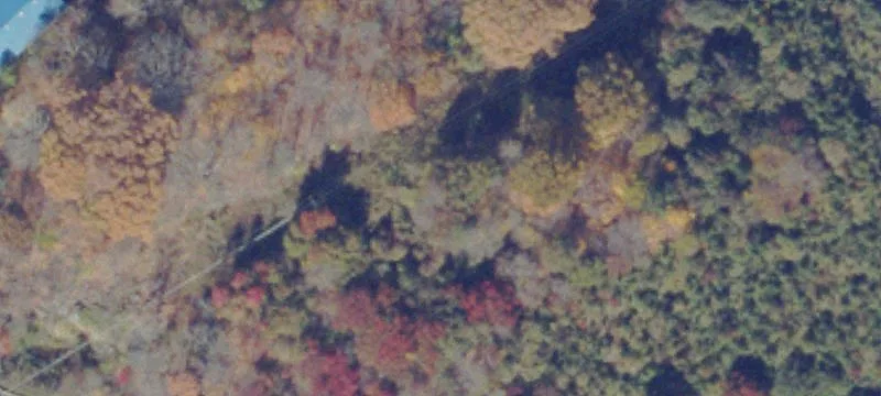 Saltville, VA 24370