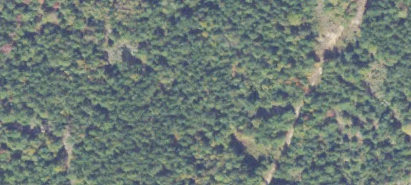 Ruther Glen, VA 22546