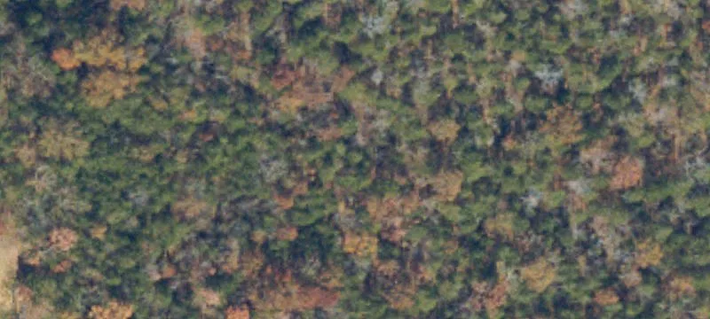 Keokee, VA 24265