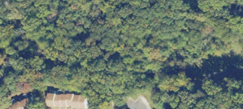 7501 Tralee Woods Ct