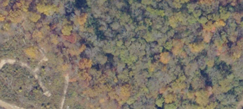 Lee Hwy