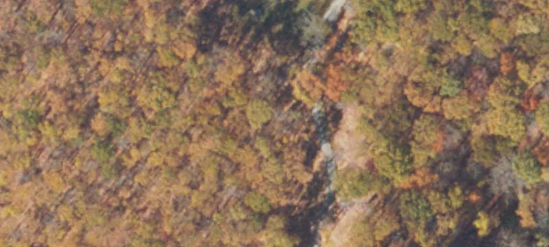 817 Dryden Loop