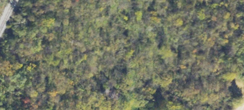 Stephens City, VA 22655