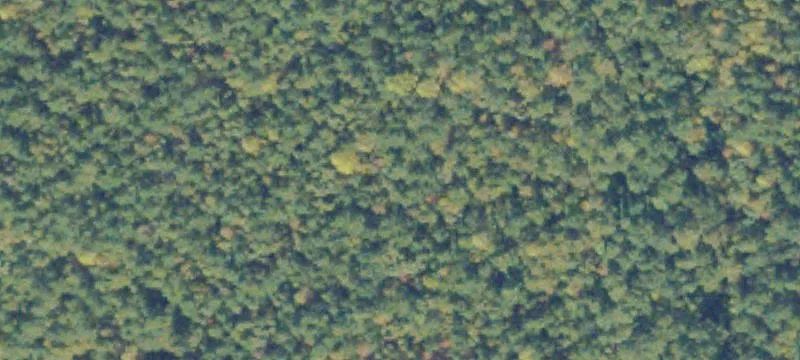Ruther Glen, VA 22546
