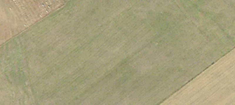 8559 Us Hwy 421