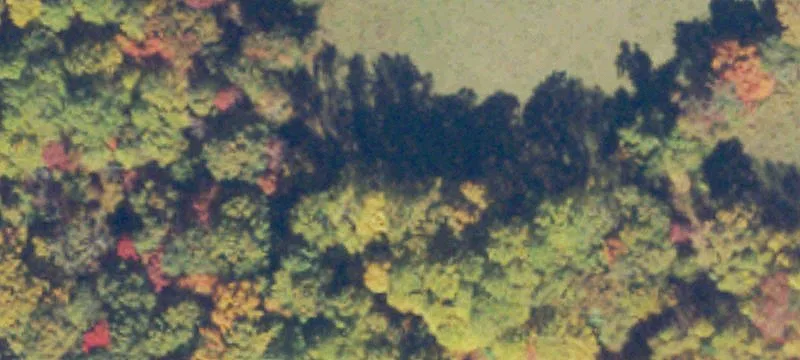 Scantlin Mtn Rd