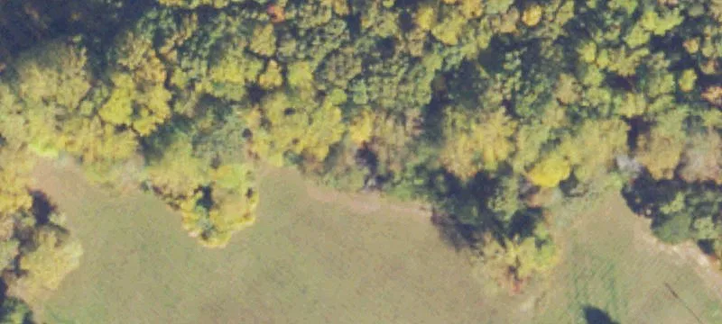Bealeton, VA 22712