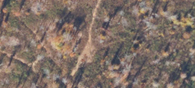 171 Burnt Cabin Br Dr